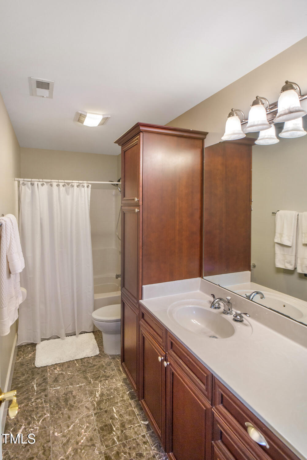 412 Bowen Road Rougemont, NC 27572 - Photo 35 of 40 a bathroom with a sink a toilet and a large mirror