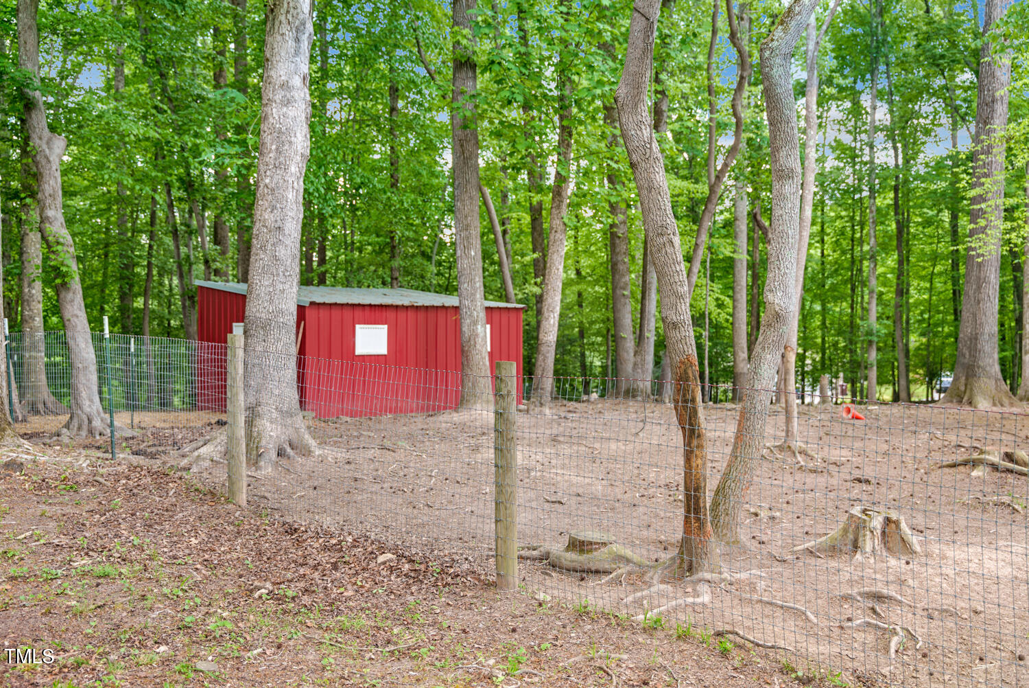 412 Bowen Road Rougemont, NC 27572 - Photo 40 of 40 a view of a house with backyard