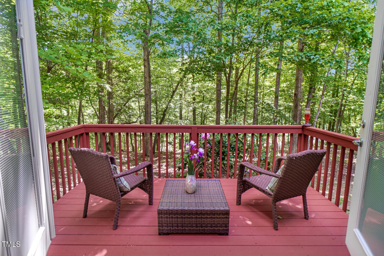 412 Bowen Road Rougemont, NC 27572 - Photo 10 of 40 a view of a two chairs and table on the deck