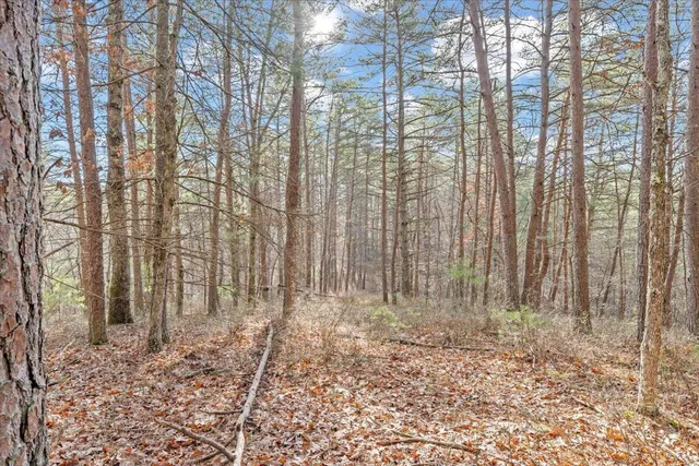 a view of a pathway with a yard