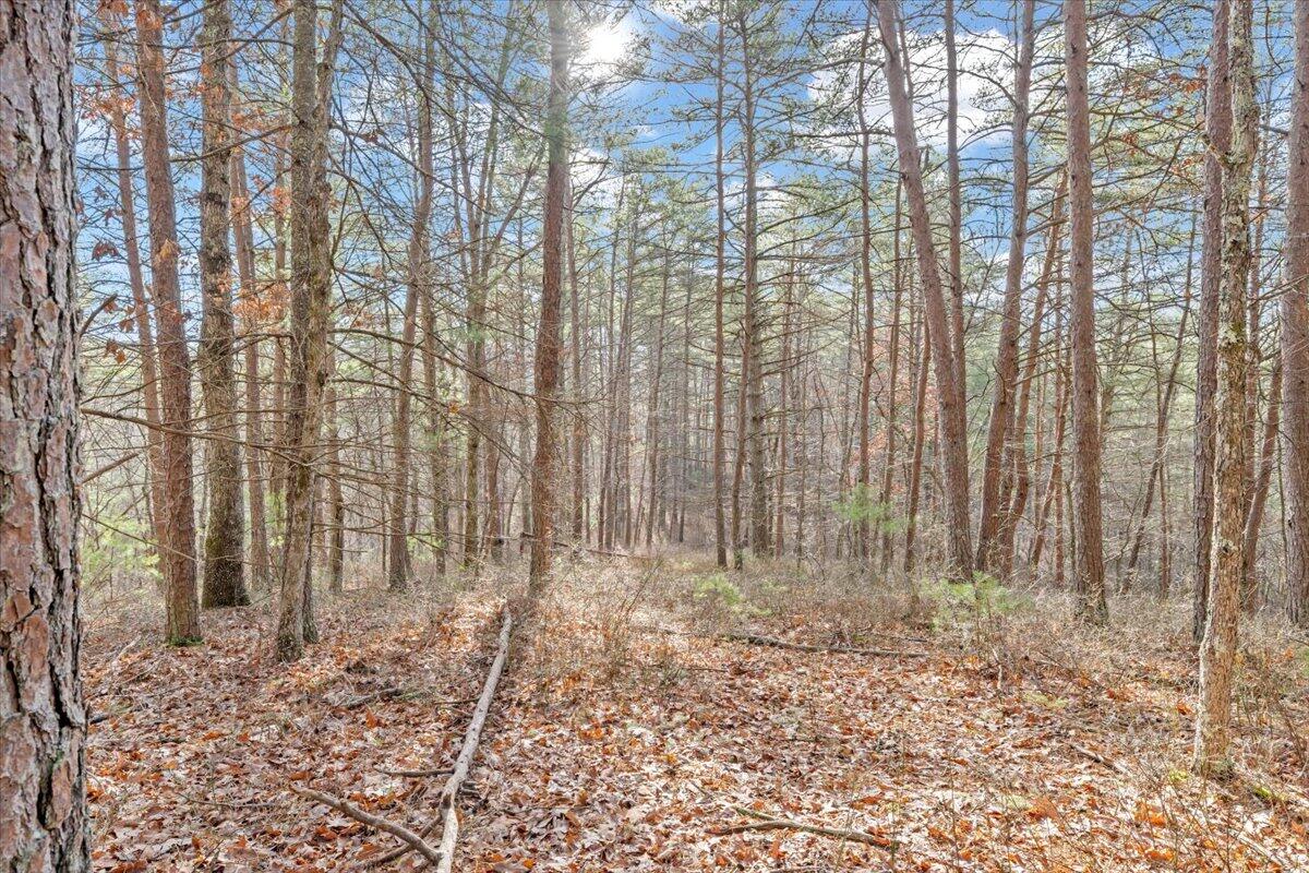 0 Overlook Way Clifton Forge, VA 24422 - Photo 12 of 24 a view of a pathway with a yard