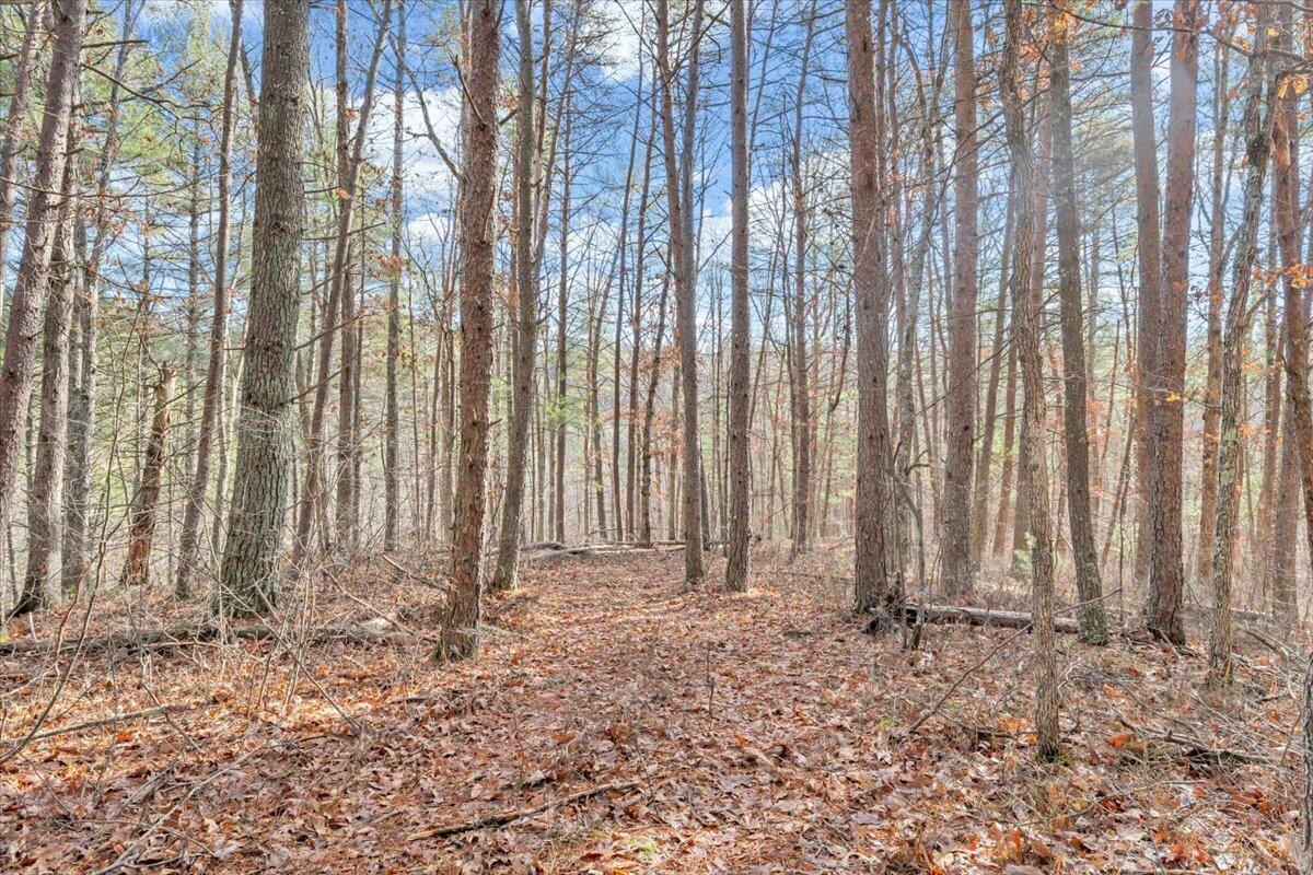 0 Overlook Way Clifton Forge, VA 24422 - Photo 13 of 24 a view of small space with a window
