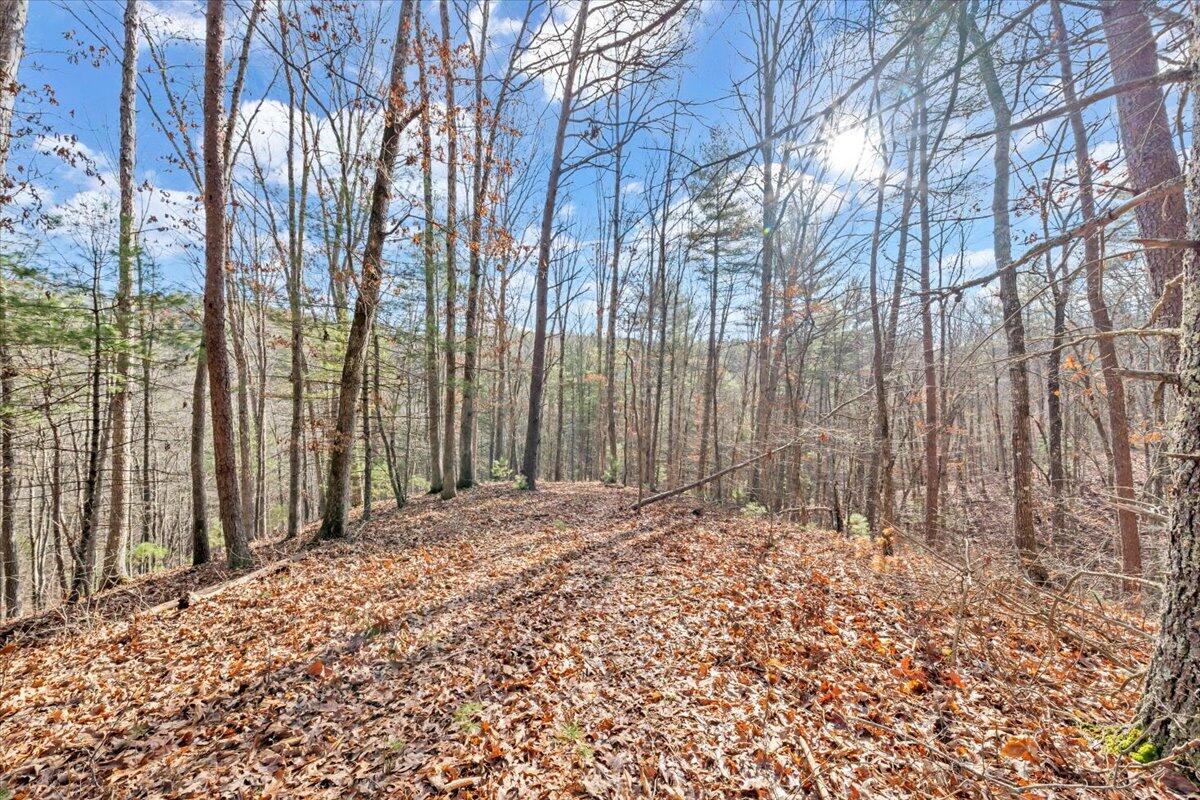 0 Overlook Way Clifton Forge, VA 24422 - Photo 14 of 24 a view of wooden fence