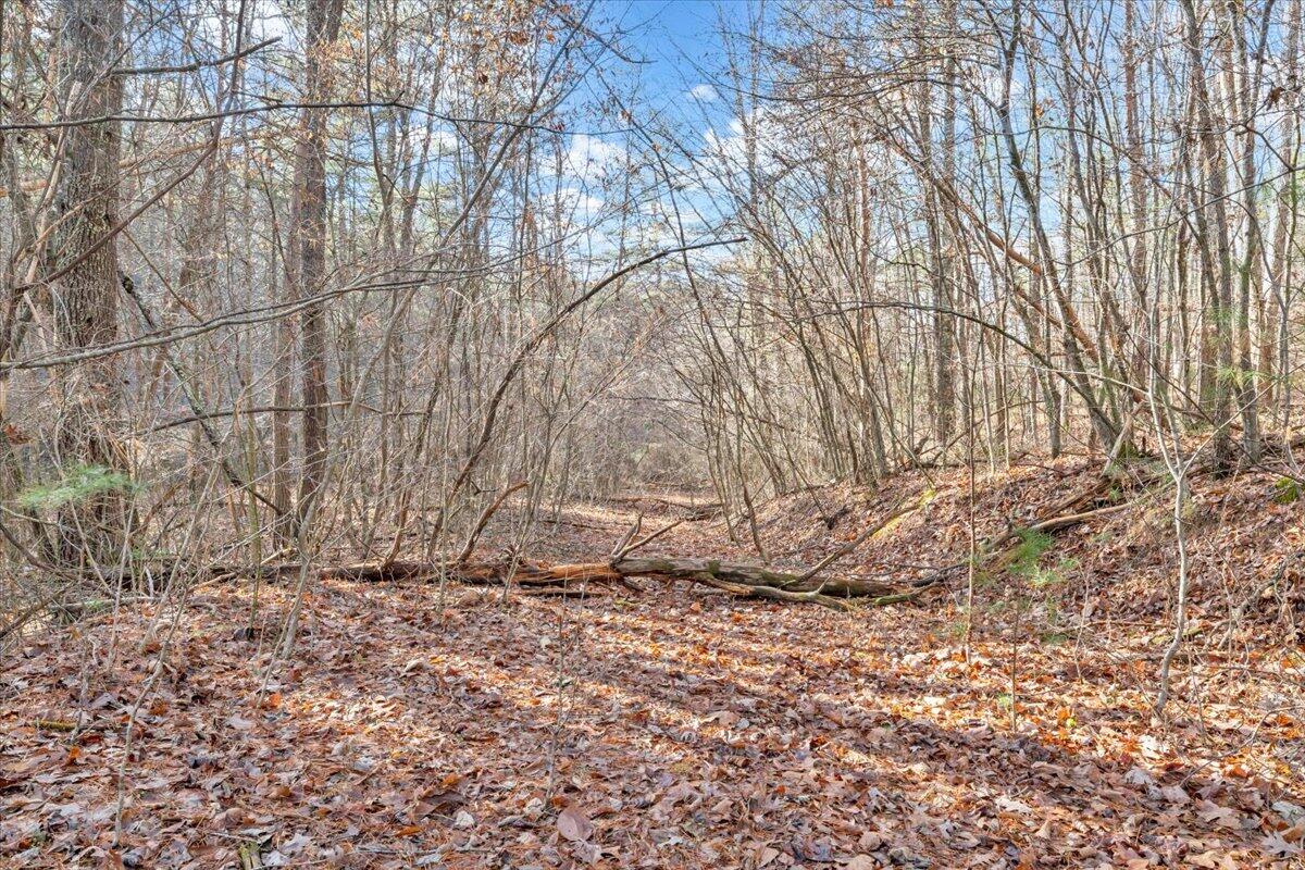 0 Overlook Way Clifton Forge, VA 24422 - Photo 16 of 24 a view of wooden fence of a house