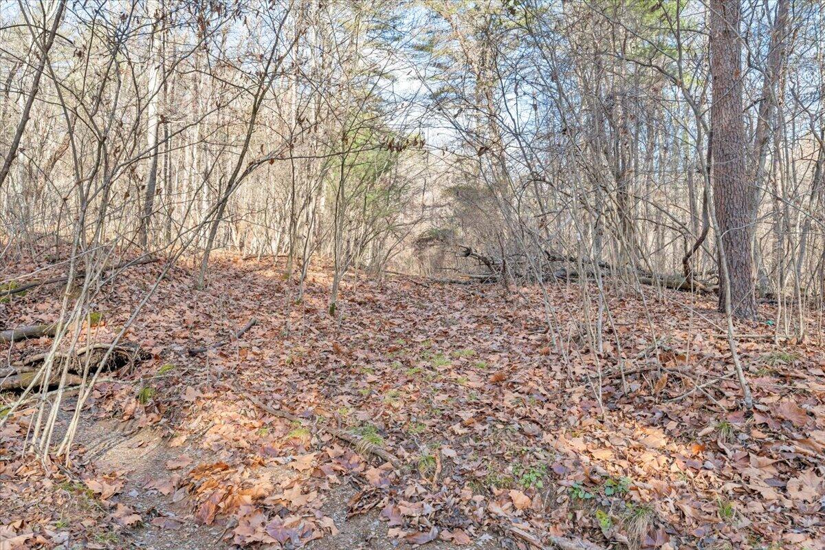 0 Overlook Way Clifton Forge, VA 24422 - Photo 17 of 24