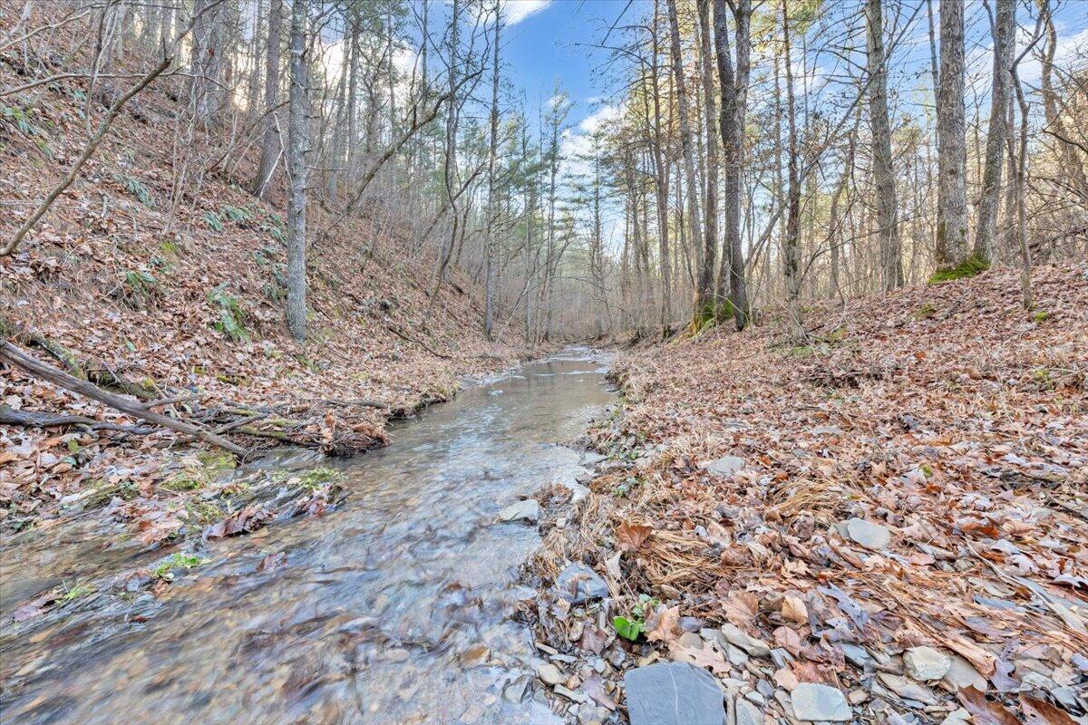 0 Overlook Way Clifton Forge, VA 24422 - Photo 20 of 24 a view of a backyard of the house