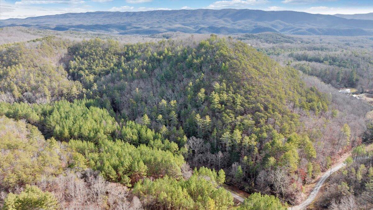 0 Overlook Way Clifton Forge, VA 24422 - Photo 2 of 24 a view of mountain and green field