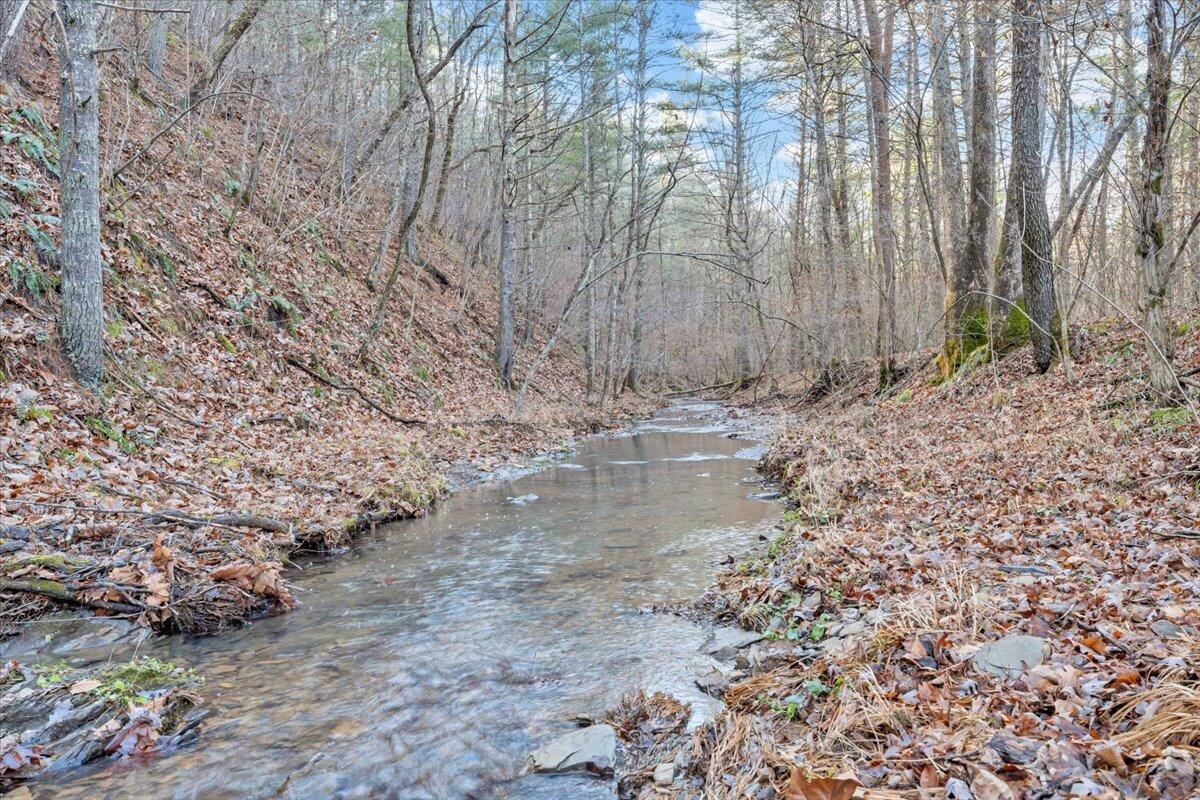 0 Overlook Way Clifton Forge, VA 24422 - Photo 21 of 24 a view of water with large trees