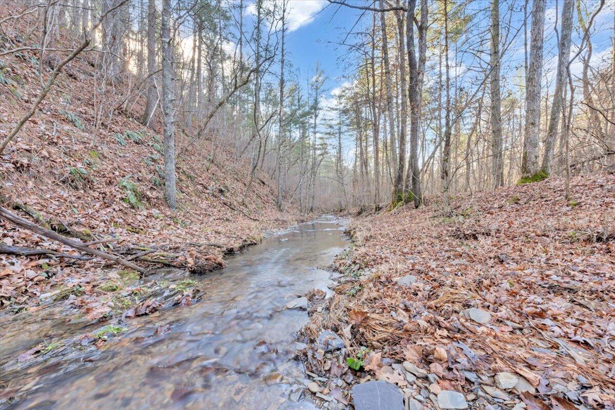 0 Overlook Way Clifton Forge, VA 24422 - Photo 22 of 24 a view of dirt yard with a tree