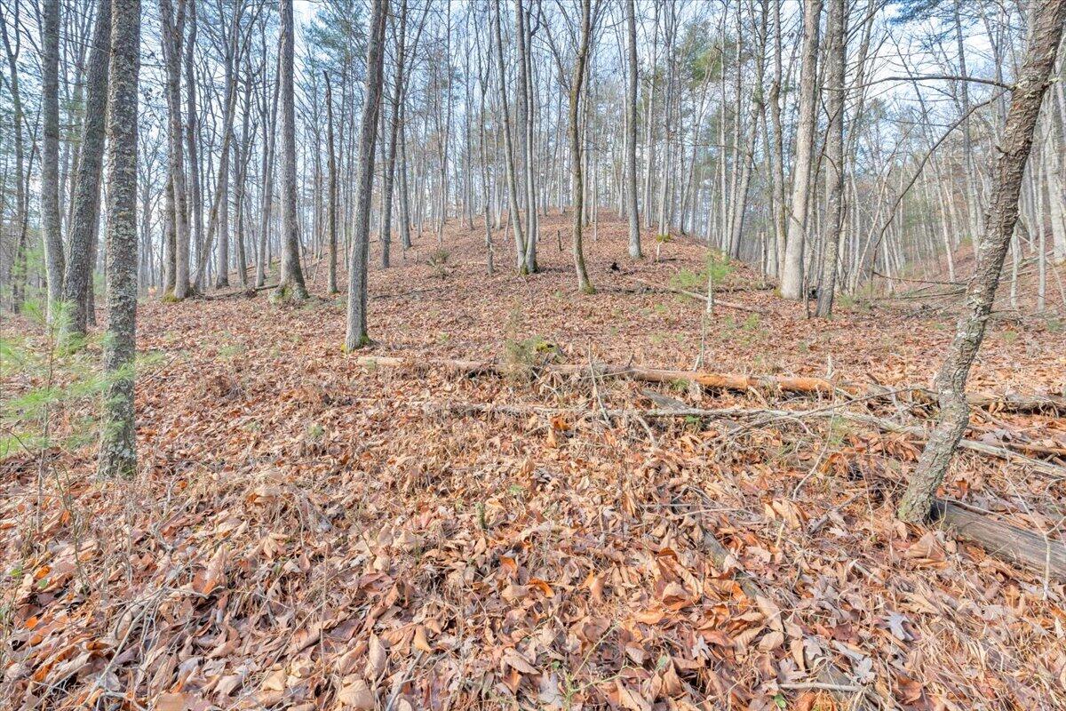 0 Overlook Way Clifton Forge, VA 24422 - Photo 24 of 24 a backyard of a house with lots of green space