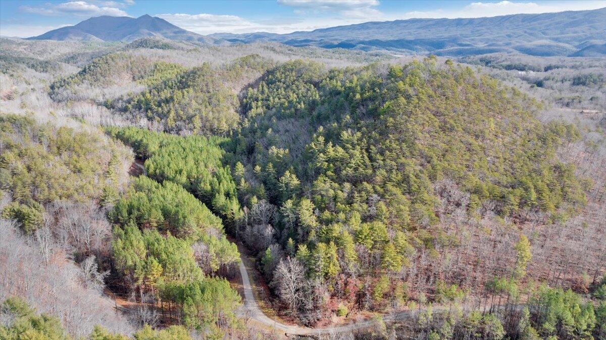 0 Overlook Way Clifton Forge, VA 24422 - Photo 3 of 24 a view of a forest with mountains in the background