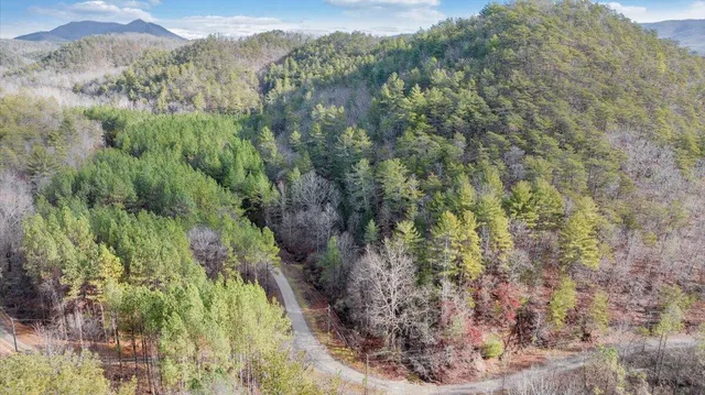 a view of a forest with a forest
