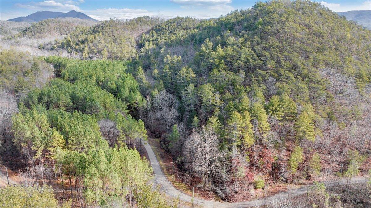 0 Overlook Way Clifton Forge, VA 24422 - Photo 5 of 24 a view of a forest with a forest