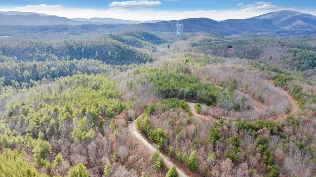 a view of a lush green hillside and a houses