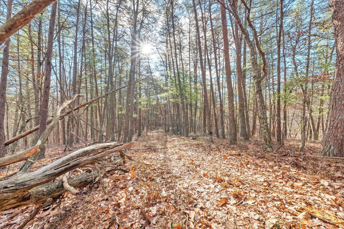 0 Overlook Way Clifton Forge, VA 24422 - Photo 10 of 24 a view of wooden fence