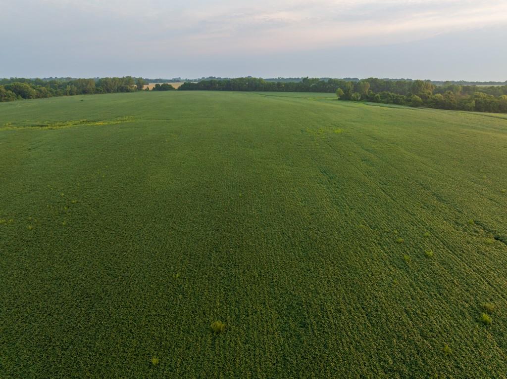 Tbd Southwest 1300 Road Chilhowee, MO 64733 - Photo 52 of 67 Gallery Image 52