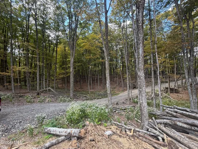 $198,000 | L3.22 Clickman Road, Westerlo, NY 12193