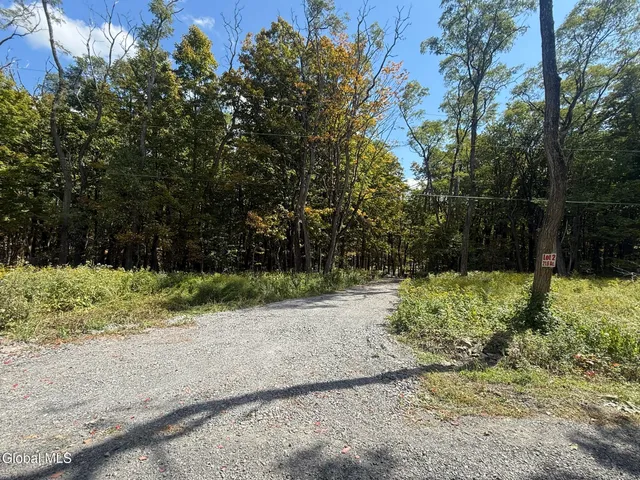 $198,000 | L3.22 Clickman Road, Westerlo, NY 12193