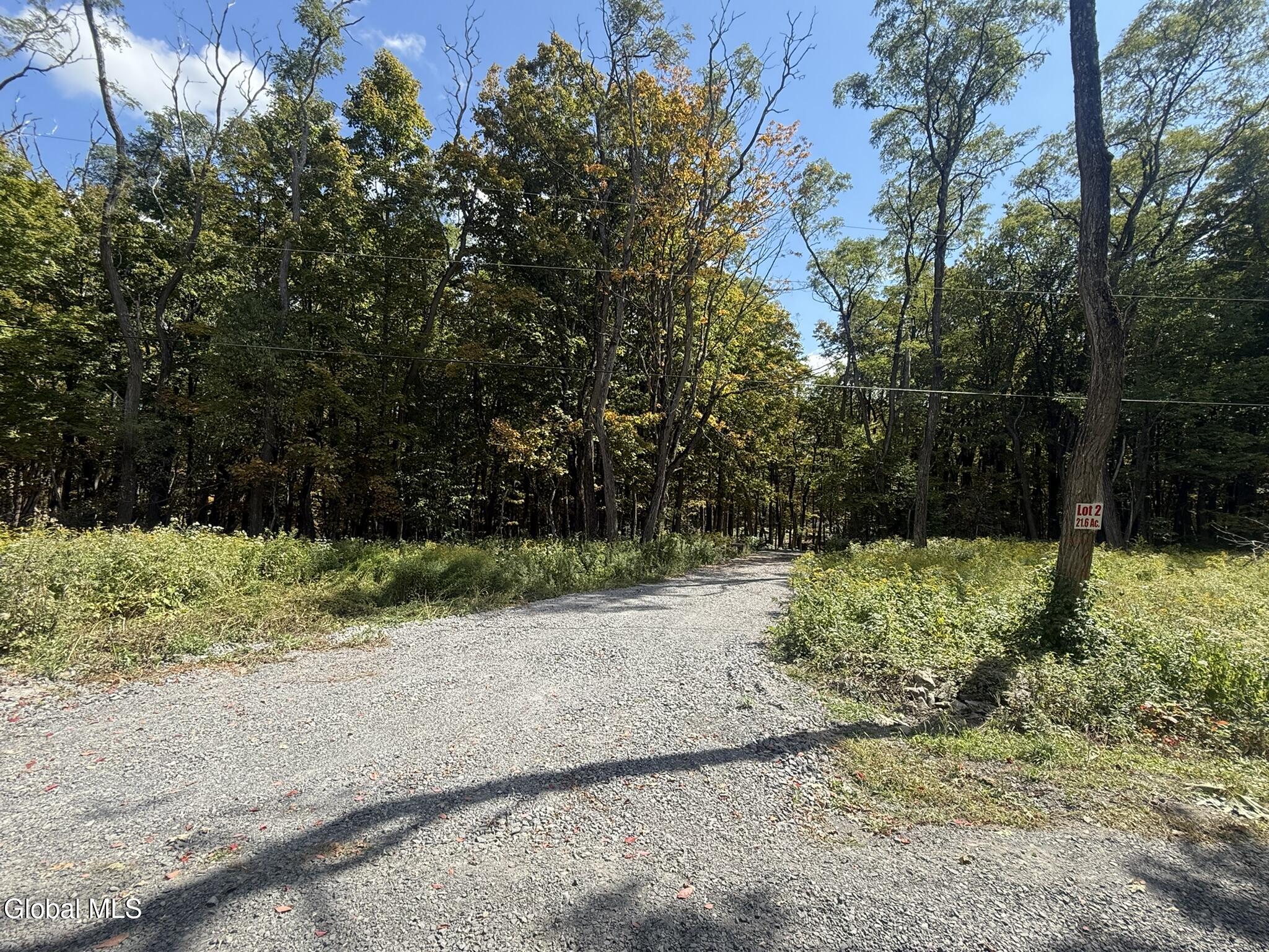 L3.22 Clickman Road Westerlo, NY 12193 - Photo 2 of 11 IMG_0568