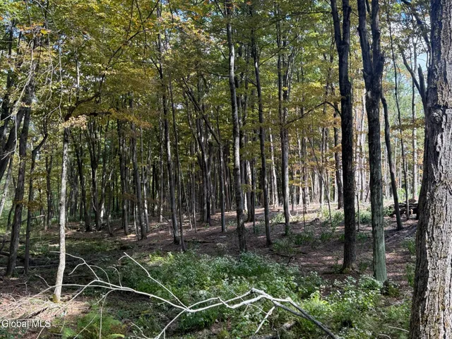 $198,000 | L3.22 Clickman Road, Westerlo, NY 12193