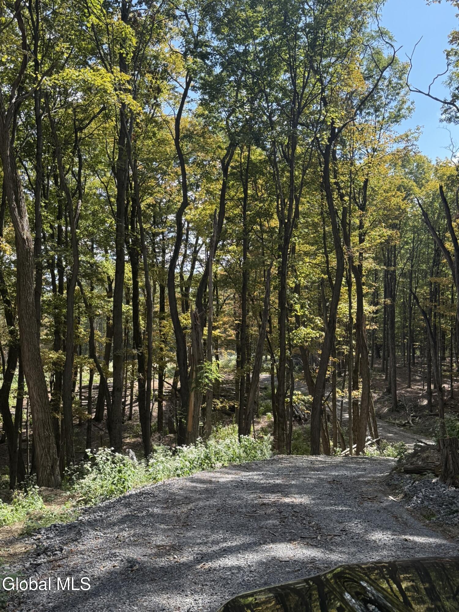 L3.22 Clickman Road Westerlo, NY 12193 - Photo 4 of 11 IMG_0571