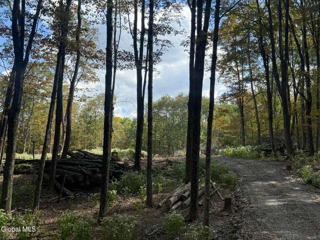 $198,000 | L3.22 Clickman Road, Westerlo, NY 12193