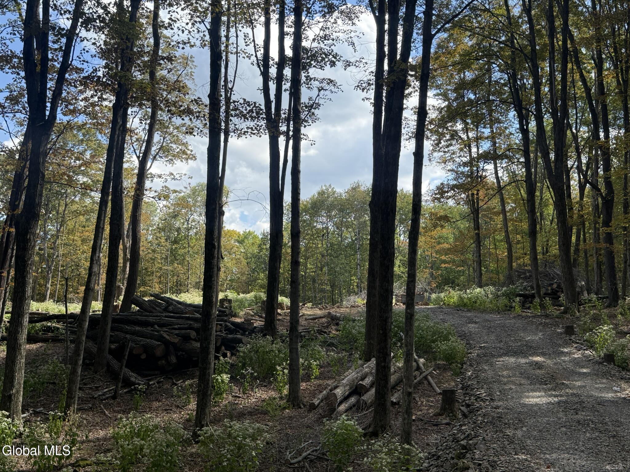 L3.22 Clickman Road Westerlo, NY 12193 - Photo 5 of 11 IMG_0576