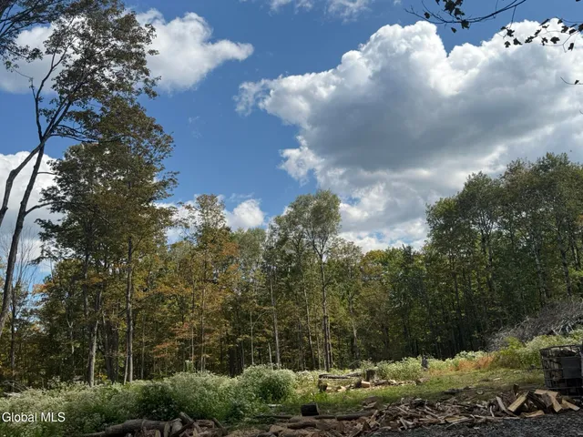 $198,000 | L3.22 Clickman Road, Westerlo, NY 12193