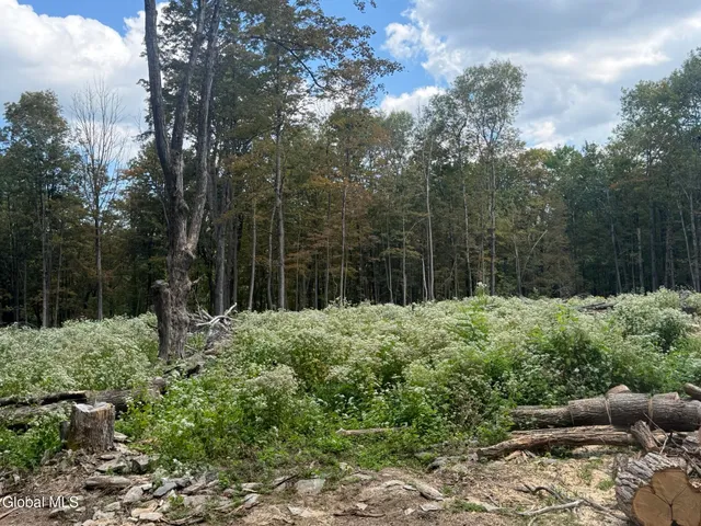 $198,000 | L3.22 Clickman Road, Westerlo, NY 12193