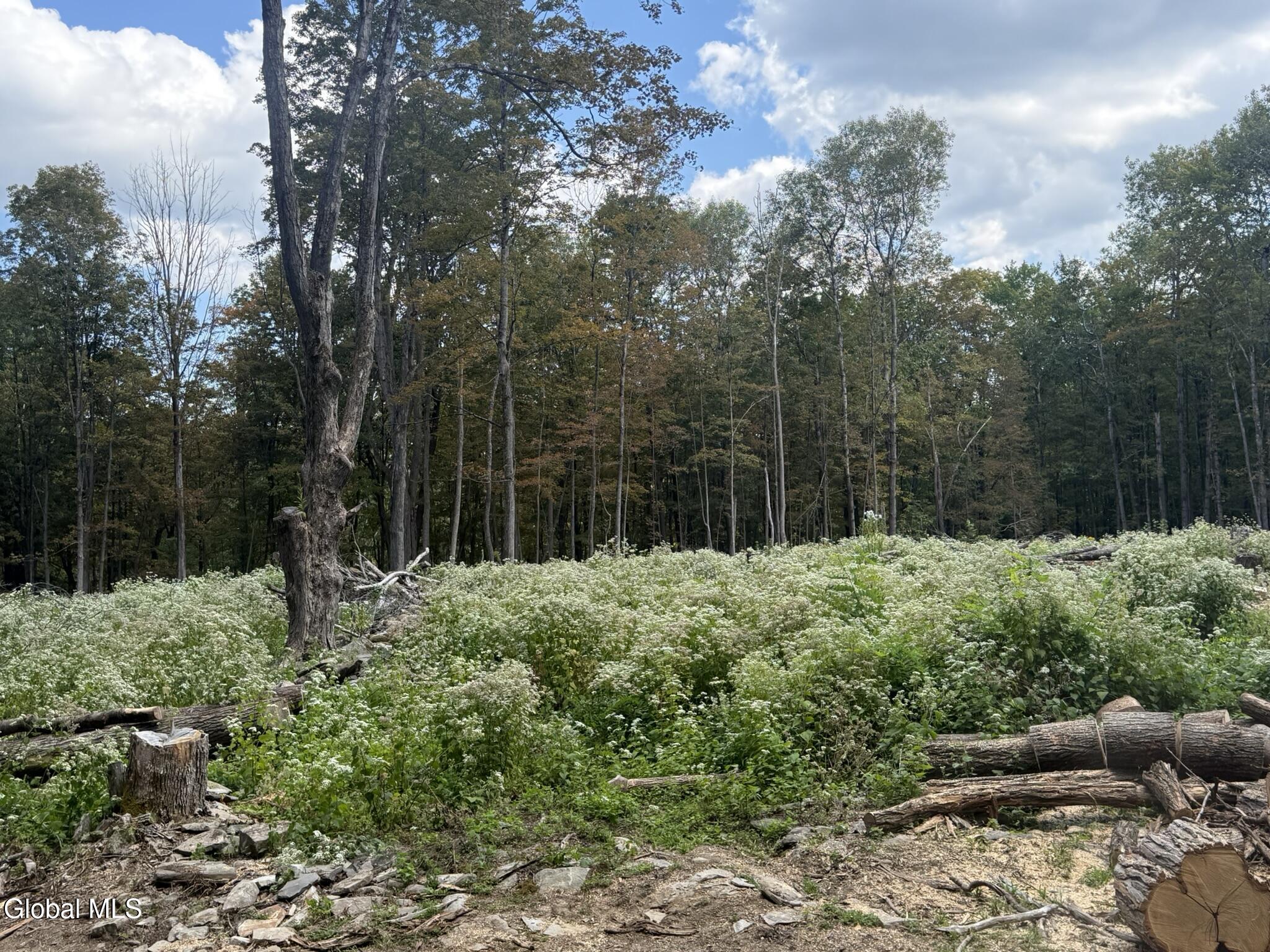 L3.22 Clickman Road Westerlo, NY 12193 - Photo 7 of 11 IMG_0583