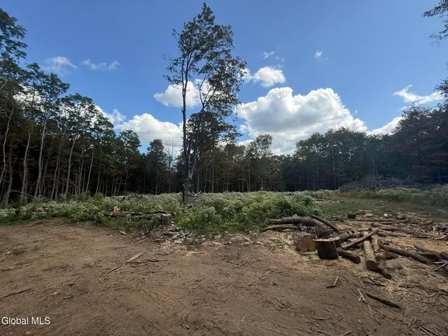 $198,000 | L3.22 Clickman Road, Westerlo, NY 12193