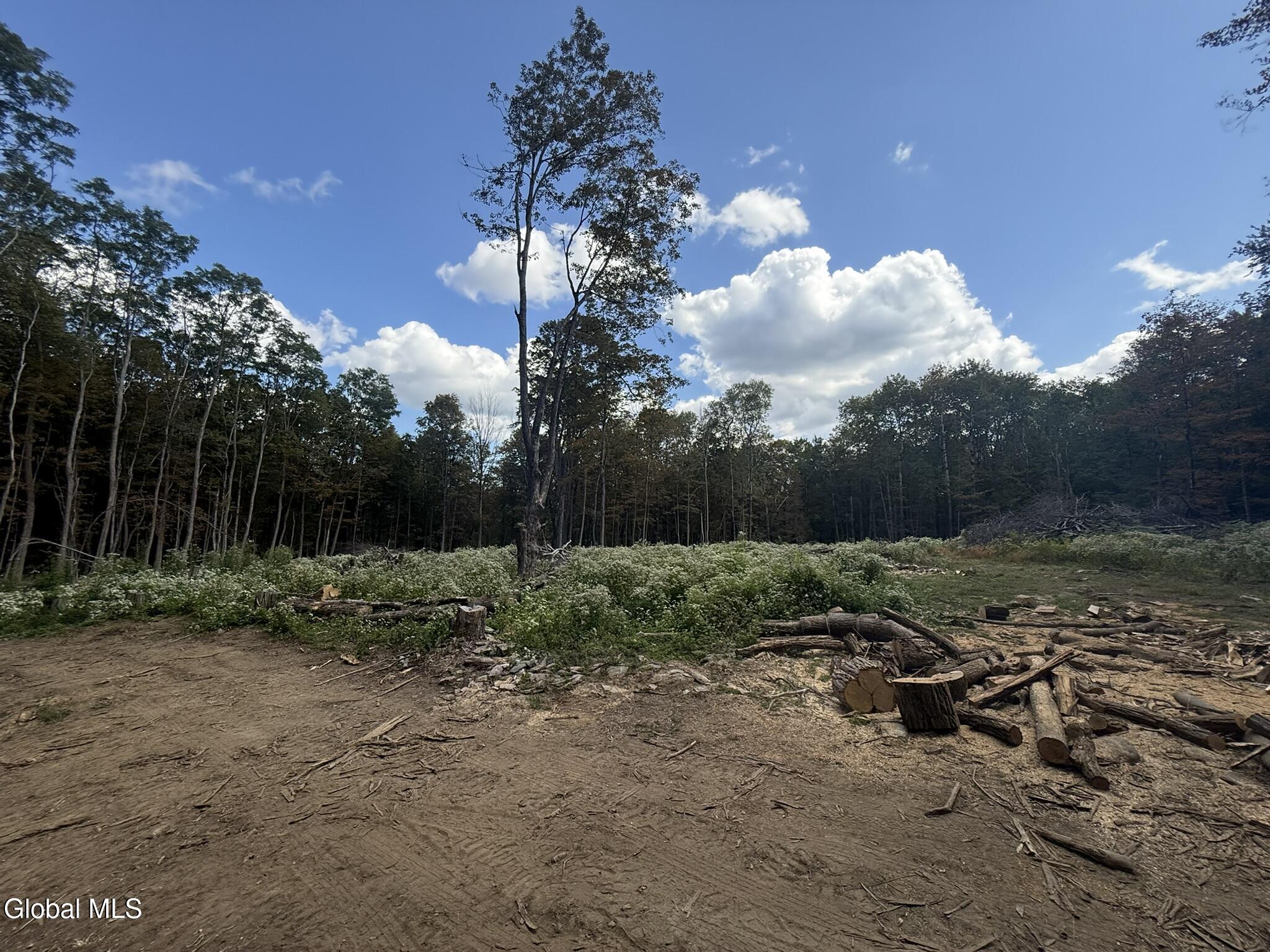 L3.22 Clickman Road Westerlo, NY 12193 - Photo 8 of 11 IMG_0584