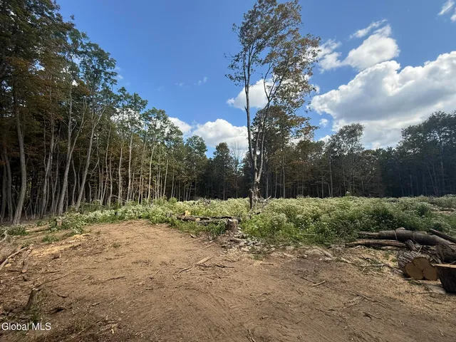 $198,000 | L3.22 Clickman Road, Westerlo, NY 12193