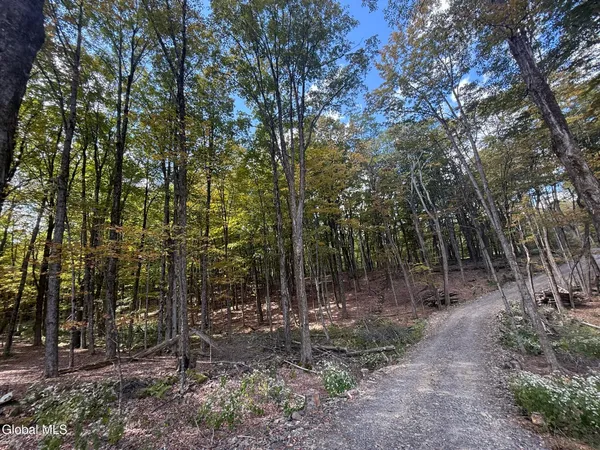 $198,000 | L3.22 Clickman Road, Westerlo, NY 12193