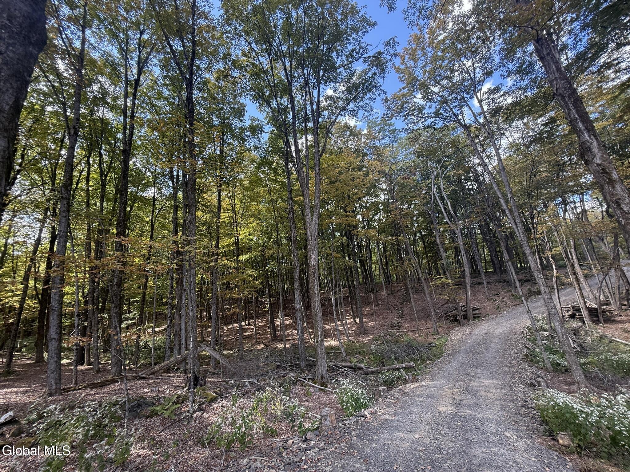 L3.22 Clickman Road Westerlo, NY 12193 - Photo 10 of 11 IMG_0599