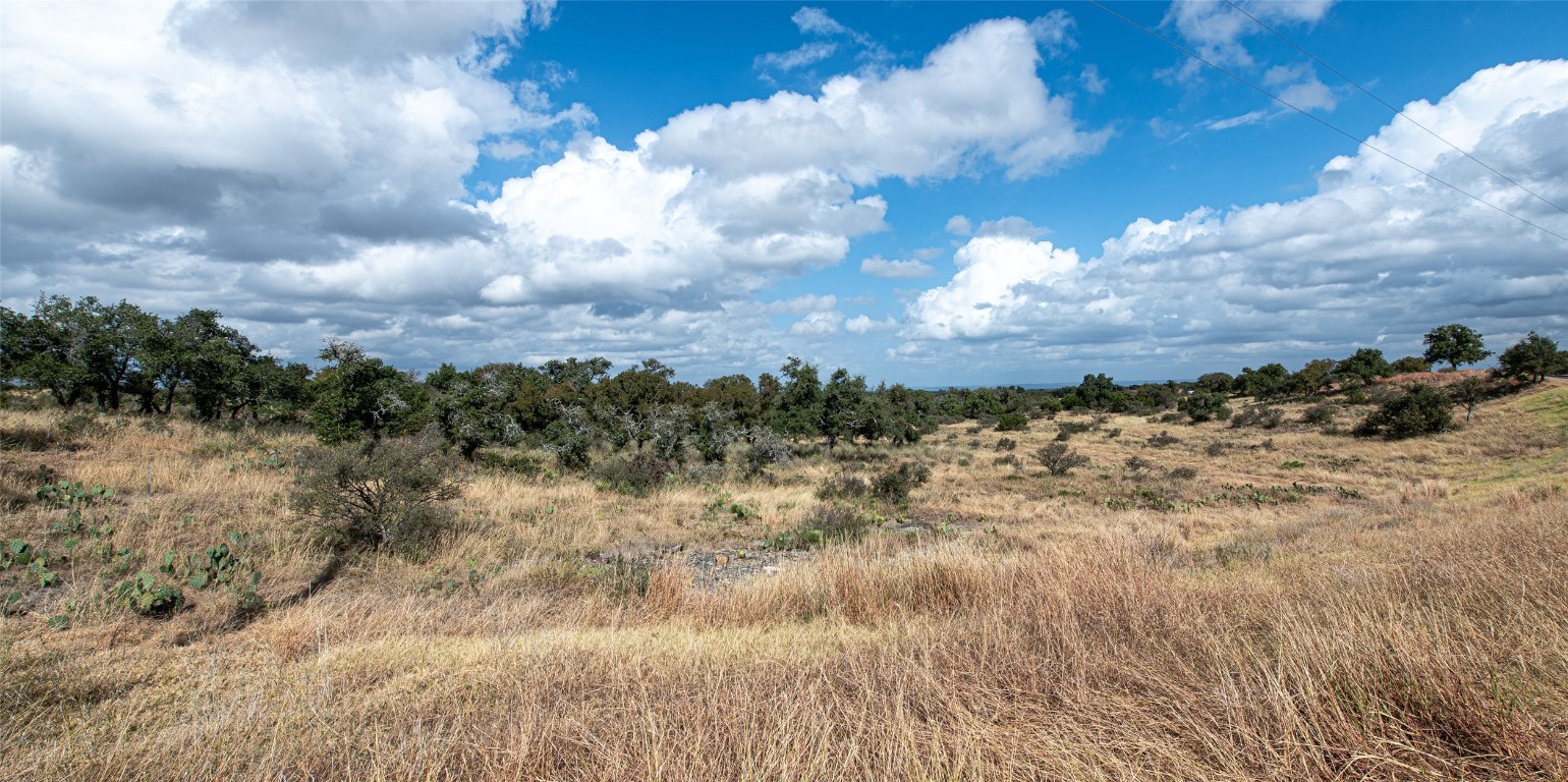 470 Comanche Ridge Round Mountain, TX 78663 - Photo 17 of 25