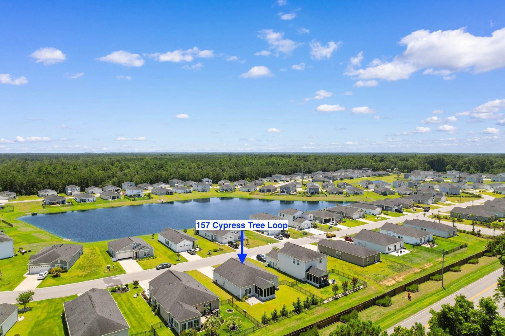 157 Cypress Tree Loop Longs, SC 29568 - Photo 44 of 48
