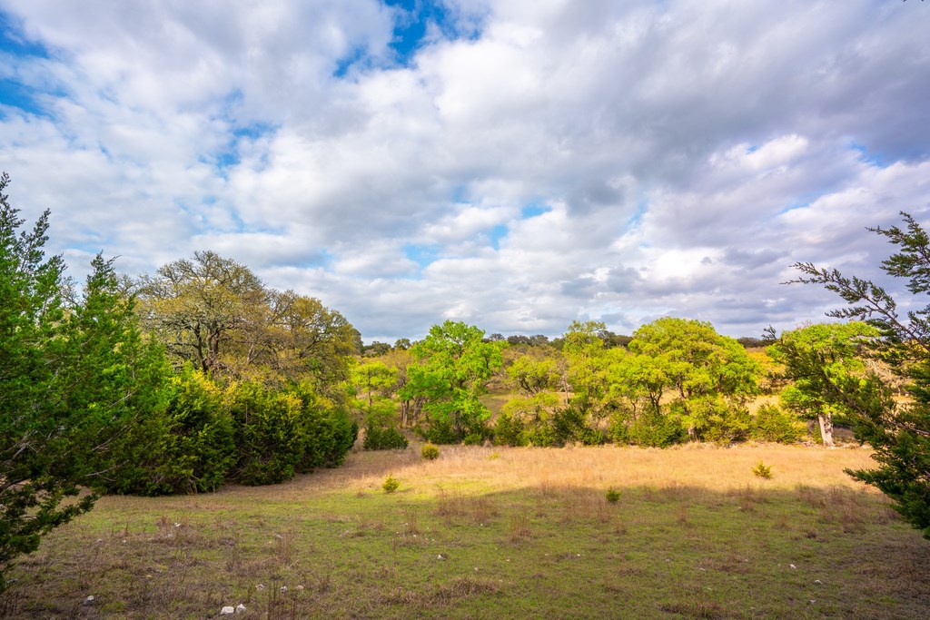 346 Crabapple Road Blanco, TX 78606 - Photo 12 of 20 Gallery Image 12