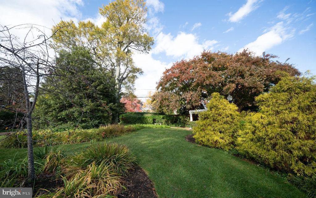 6510 Serenade Place Springfield, VA 22150 - Photo 26 of 29 a view of backyard with green space