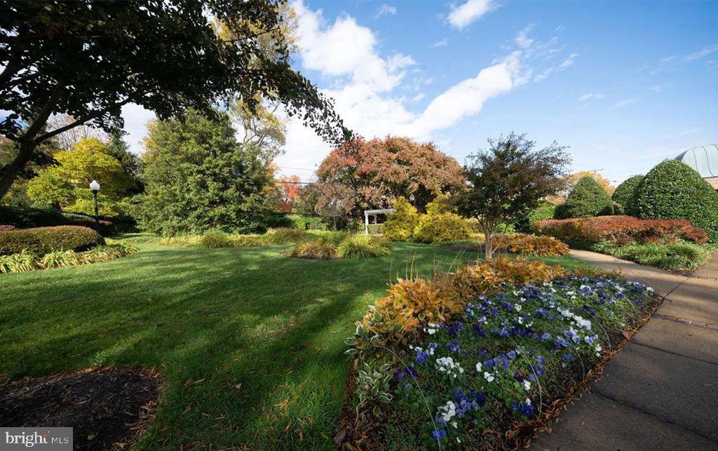 6510 Serenade Place Springfield, VA 22150 - Photo 27 of 29 a lush green field with lots of bushes