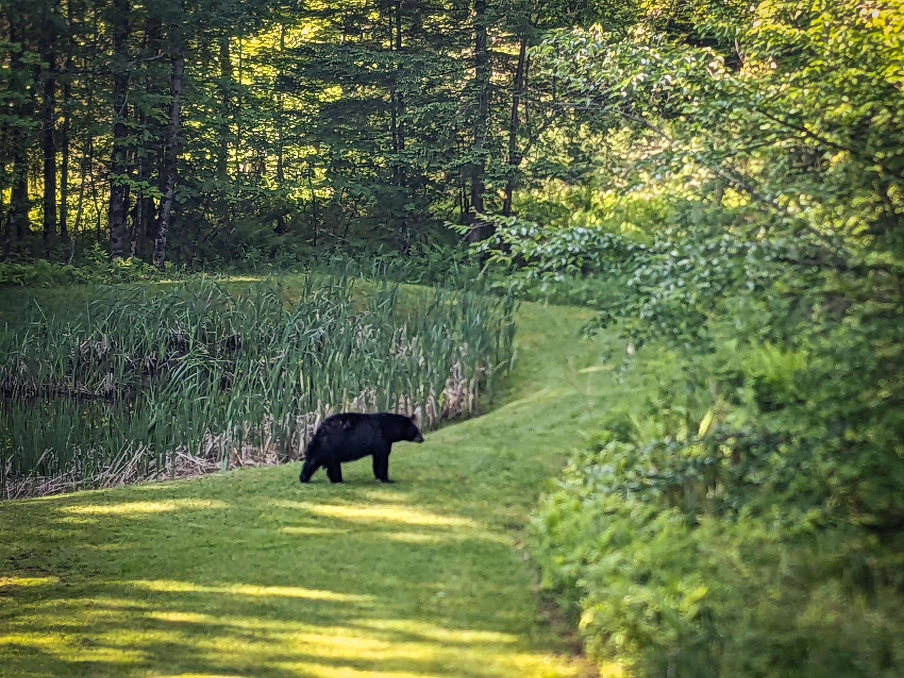 1054 Stowe Hollow Road Stowe, VT 05672 - Photo 51 of 51