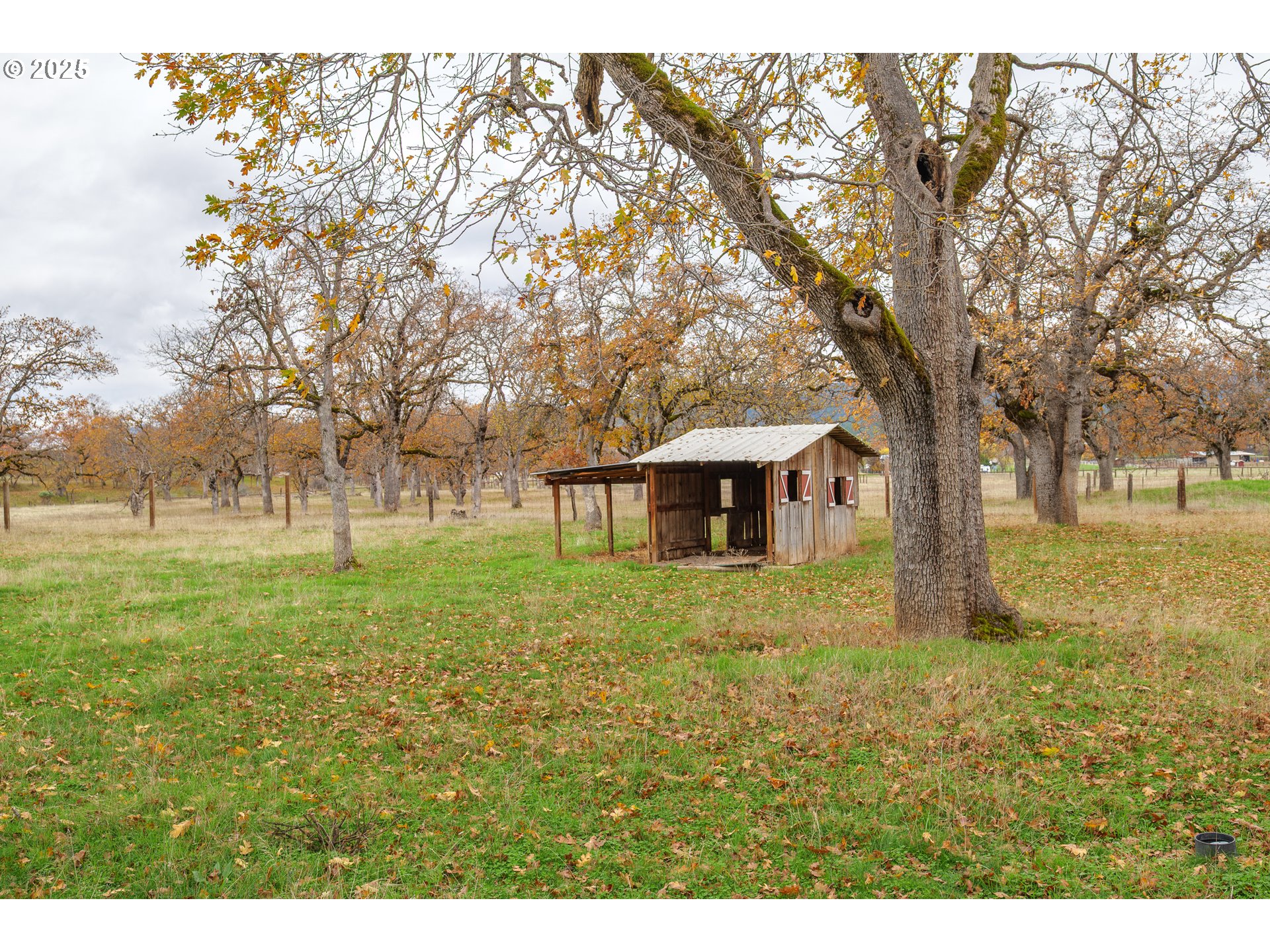 5209 Beagle Road White City, OR 97503 - Photo 32 of 48 a view of a house with a yard