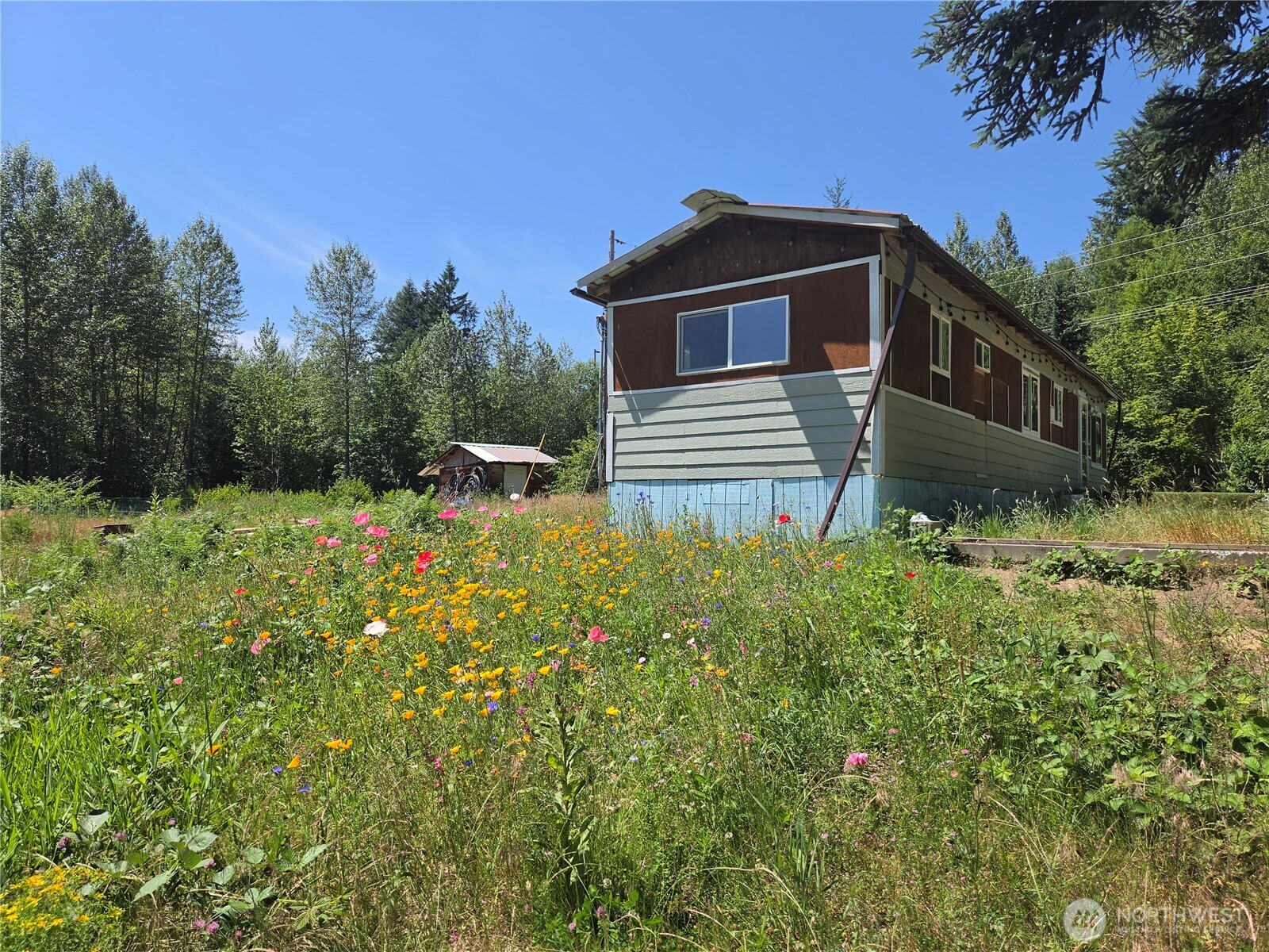 108 Savio Road East Randle, WA 98377 - Photo 20 of 33
