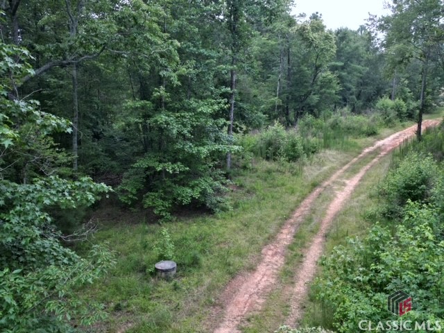1070 Washington Road Athens, GA 30605 - Photo 14 of 26 Gallery Image 14