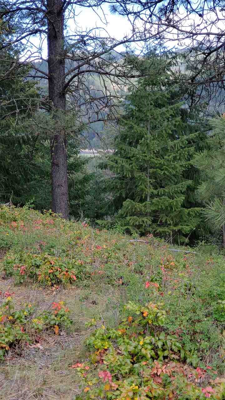 Lot 2 Highland Ranch Estates Road Kettle Falls, WA 99141 - Photo 8 of 8 Gallery Image 8