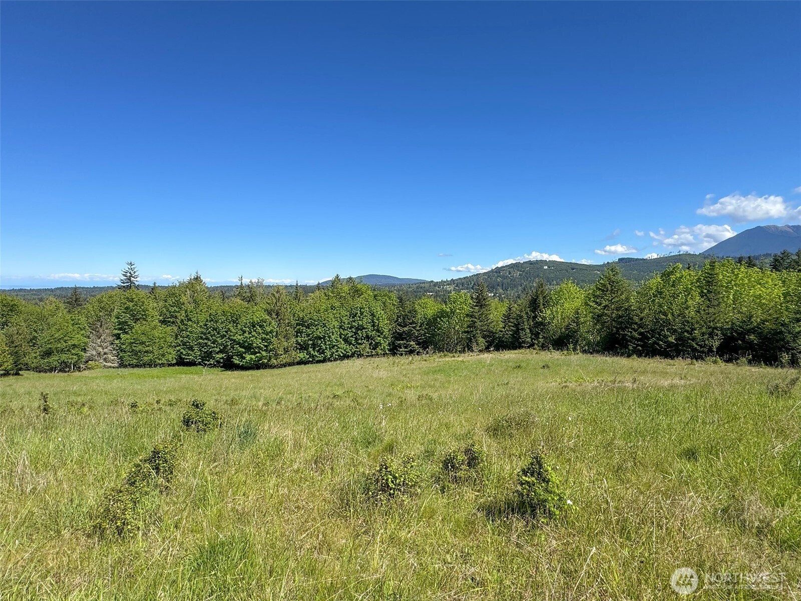 9999 Kruse Road Port Angeles, WA 98362 - Photo 31 of 39