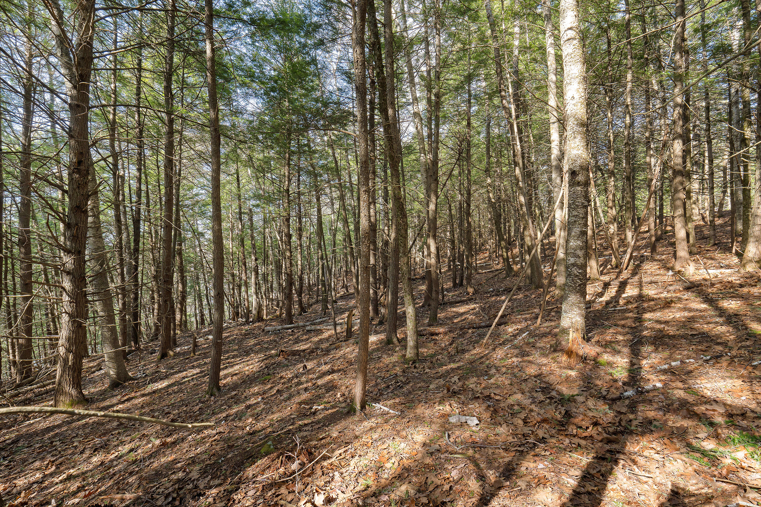 Lot 8 South Dyer Neck Road Newcastle, ME 04553 - Photo 14 of 29 South Dyer Neck Rd_0135