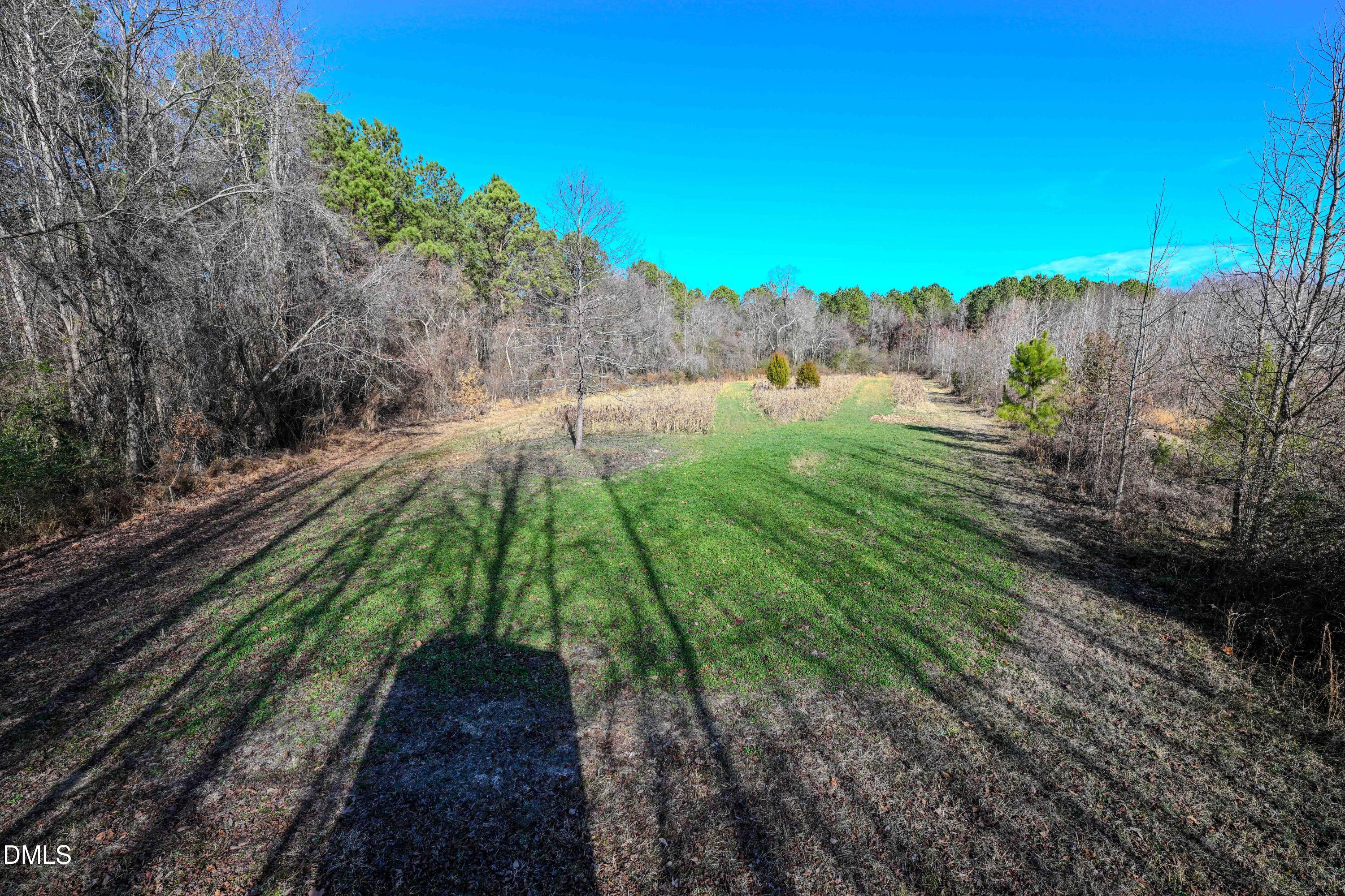 2729 McNeill Hobbs Road Bunnlevel, NC 28323 - Photo 47 of 75 048
