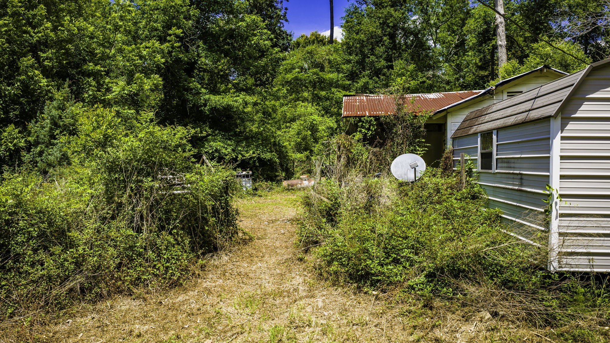 5800 Outlaw Bend Road Livingston, TX 77351 - Photo 14 of 29 a backyard of a house with lots of green space