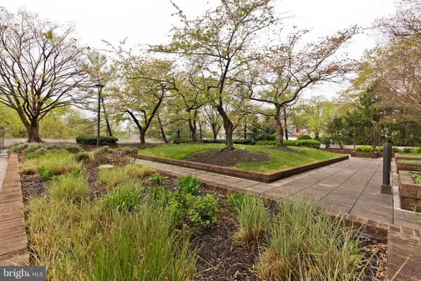 a view of a park with large trees